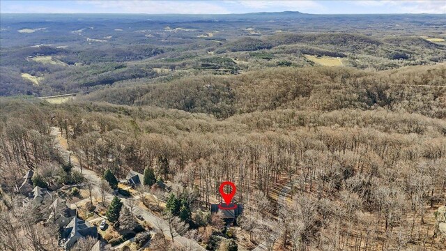 3 Rocky Gap Ct, Landrum, SC 29356 - photo 39