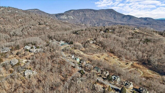 3 Rocky Gap Ct, Landrum, SC 29356 - photo 40