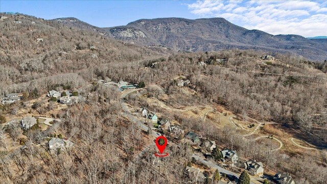 3 Rocky Gap Ct, Landrum, SC 29356 - photo 41