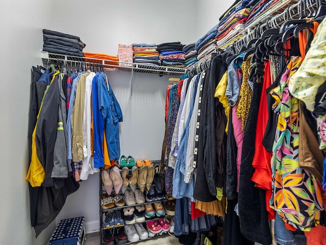 110 Hidden Ridge Dr, Spartanburg, SC 29301 - view of walk in closet