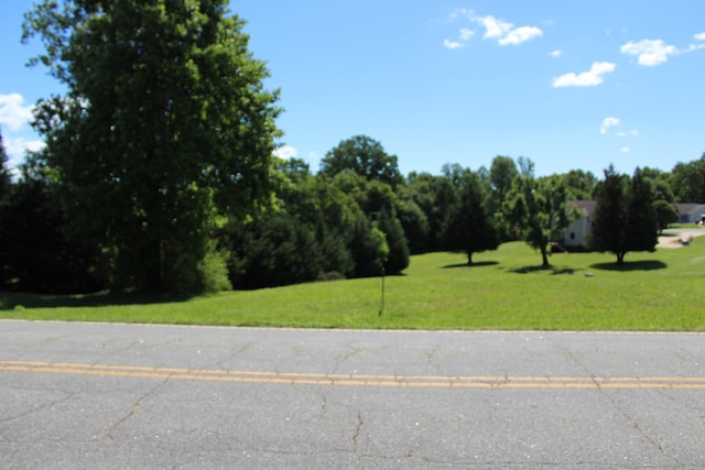 000 Thompson Rd, Rutherfordton, NC 28139 - photo 3