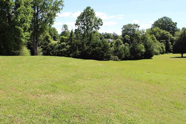000 Thompson Rd, Rutherfordton, NC 28139 - photo 14