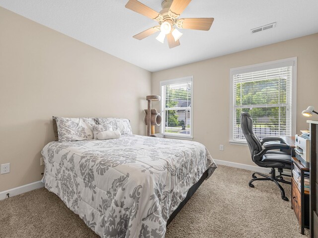 227 Heritage Creek Dr, Boiling Springs, SC 29316 - photo 23