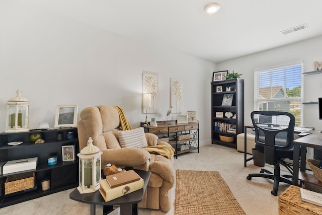 1055 Millison Pl, Moore, SC 29369 - photo 24