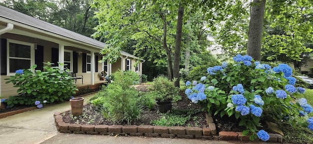 192 Wellesley Dr, Spartanburg, SC 29307 - view of yard featuring covered porch