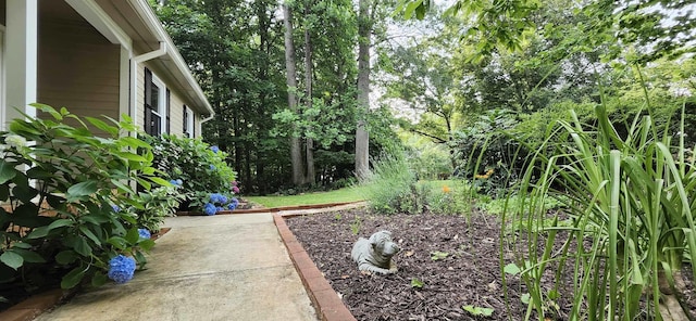 192 Wellesley Dr, Spartanburg, SC 29307 - view of yard featuring a patio area
