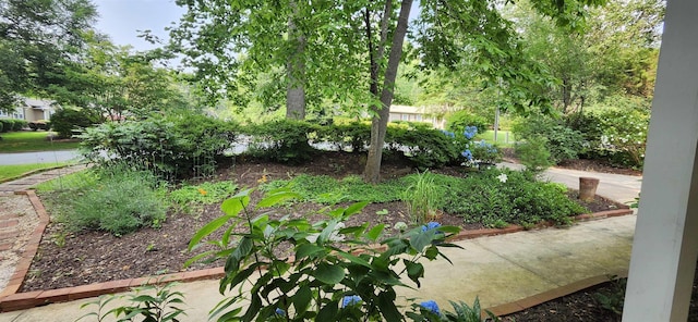 192 Wellesley Dr, Spartanburg, SC 29307 - view of yard
