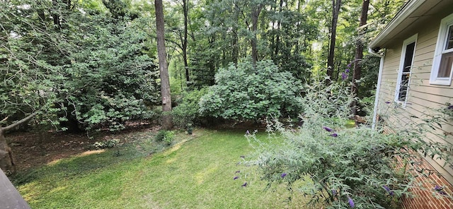 192 Wellesley Dr, Spartanburg, SC 29307 - view of green lawn