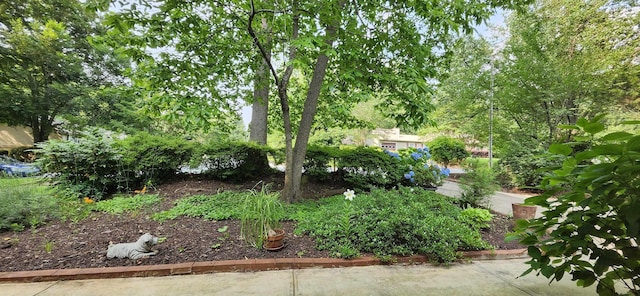 192 Wellesley Dr, Spartanburg, SC 29307 - view of yard