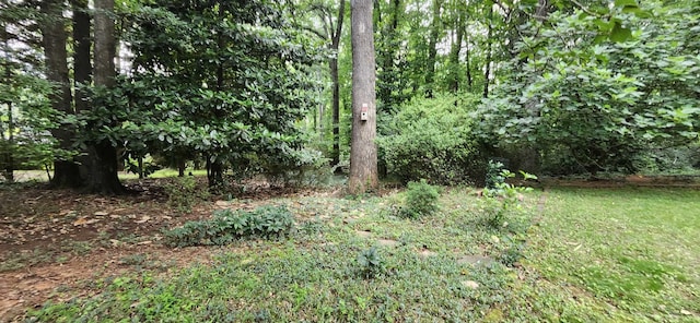 192 Wellesley Dr, Spartanburg, SC 29307 - view of undeveloped land