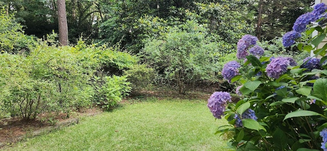 192 Wellesley Dr, Spartanburg, SC 29307 - view of grassy yard featuring a view of trees