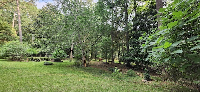 192 Wellesley Dr, Spartanburg, SC 29307 - view of grassy yard