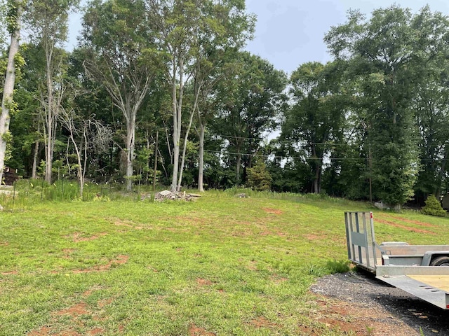 115 Hickory Hollow Rd, Inman, SC 29349 - view of yard
