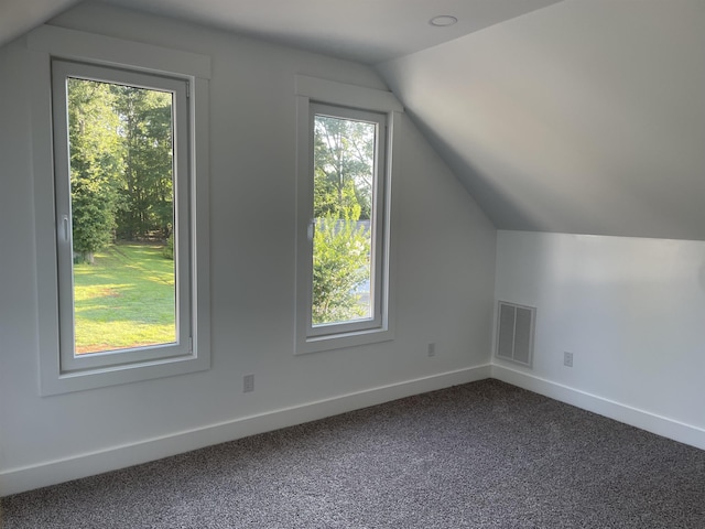 115 Hickory Hollow Rd, Inman, SC 29349 - bonus room featuring lofted ceiling and dark carpet