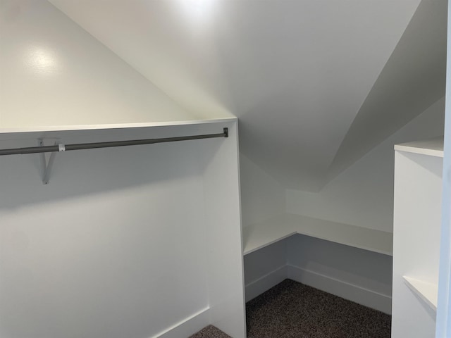 115 Hickory Hollow Rd, Inman, SC 29349 - spacious closet with dark colored carpet and vaulted ceiling