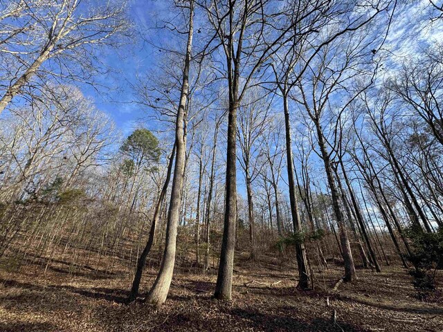 220 Wildwood Farms Rd, Gray Court, SC 29645 - photo 43