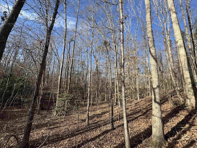 220 Wildwood Farms Rd, Gray Court, SC 29645 - photo 45