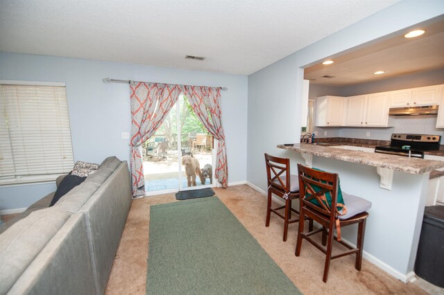 486 Brighton Woods Dr, Moore, SC 29369 - photo 8