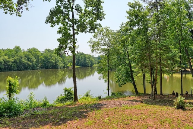182 Roundstone Dr, Inman, SC 29349 - photo 39