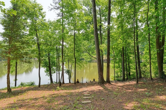182 Roundstone Dr, Inman, SC 29349 - photo 40