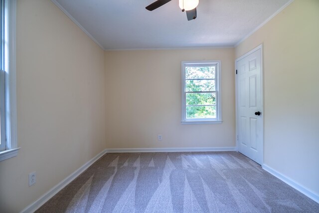 231 E Hampton Ave, Honea Path, SC 29654 - photo 37