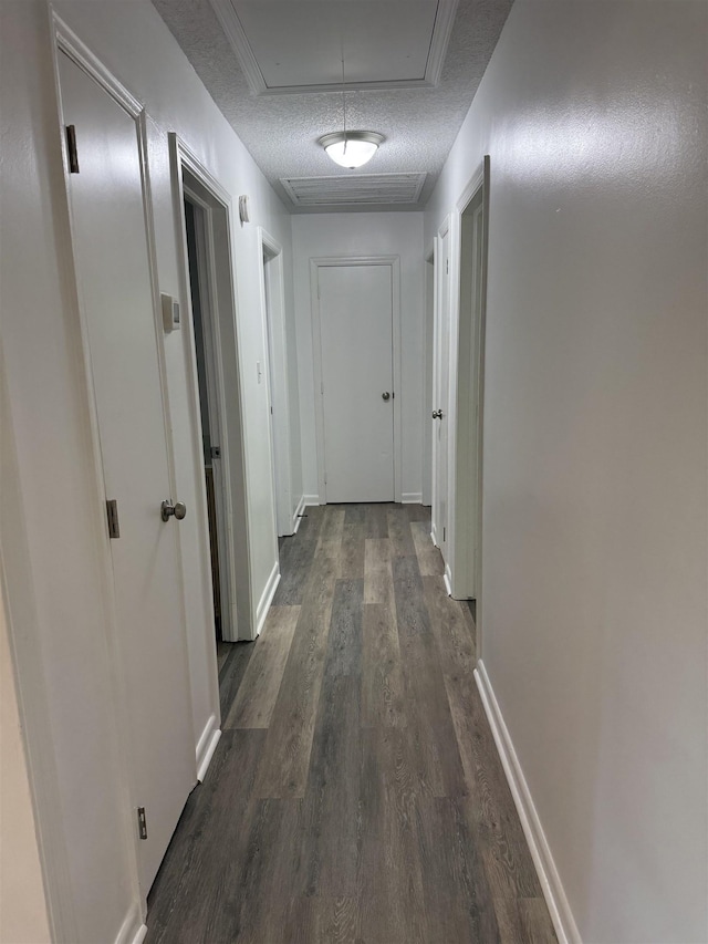 213 Loring St, Spartanburg, SC 29302 - corridor featuring attic access and dark wood-type flooring