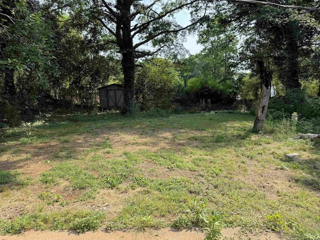 213 Loring St, Spartanburg, SC 29302 - view of yard featuring a storage unit
