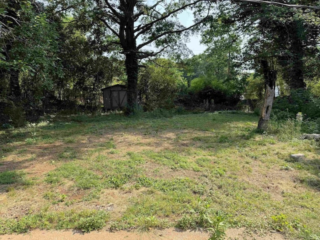 213 Loring St, Spartanburg, SC 29302 - view of yard featuring a storage unit