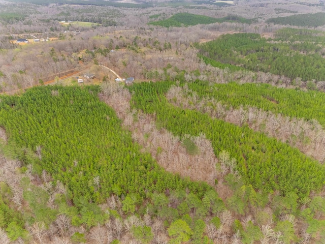 1220 Martin Rd, Hickory, SC 29717 - photo 9