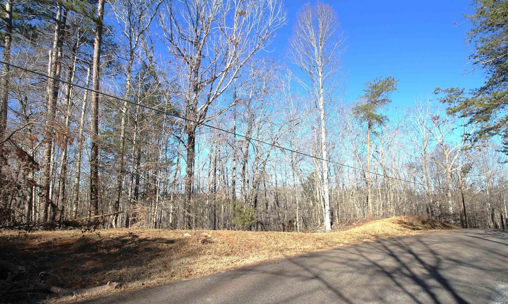 1559 Country Estates Rd, Inman, SC 29349 - photo 1