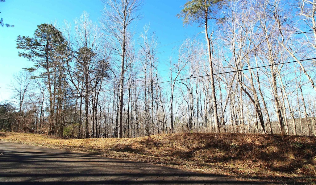 1559 Country Estates Rd, Inman, SC 29349 - photo 2