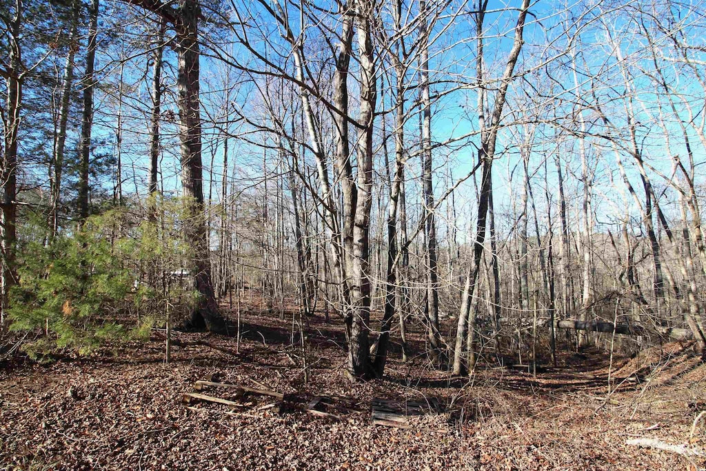 1559 Country Estates Rd, Inman, SC 29349 - photo 4