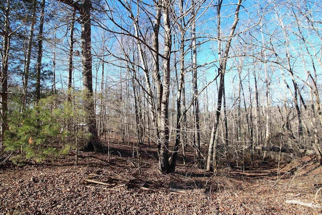 1559 Country Estates Rd, Inman, SC 29349 - photo 4
