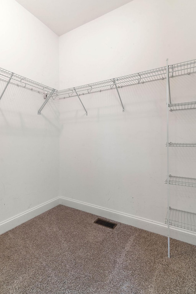 30 Caperton Way, Greer, SC 29651 - walk in closet featuring carpet floors