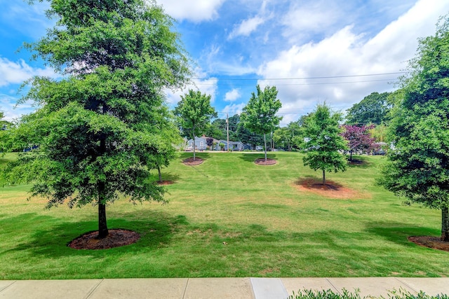 34 Itasca Dr, Greenville, SC 29609 - photo 10