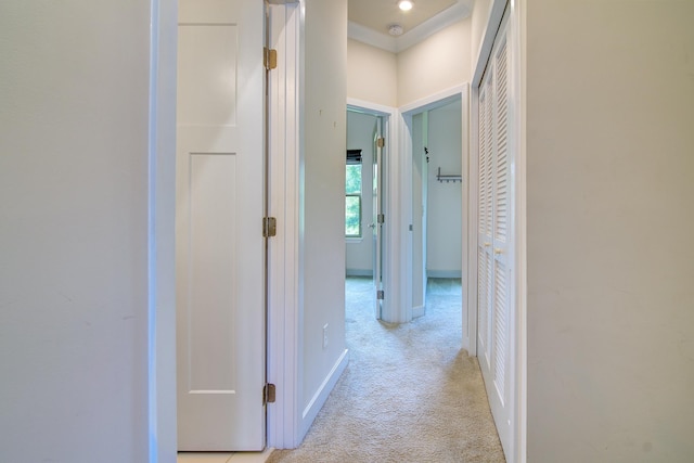34 Itasca Dr, Greenville, SC 29609 - photo 25