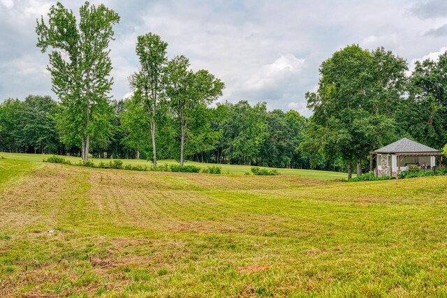 825 E Heathland Dr, Inman, SC 29349 - photo 8