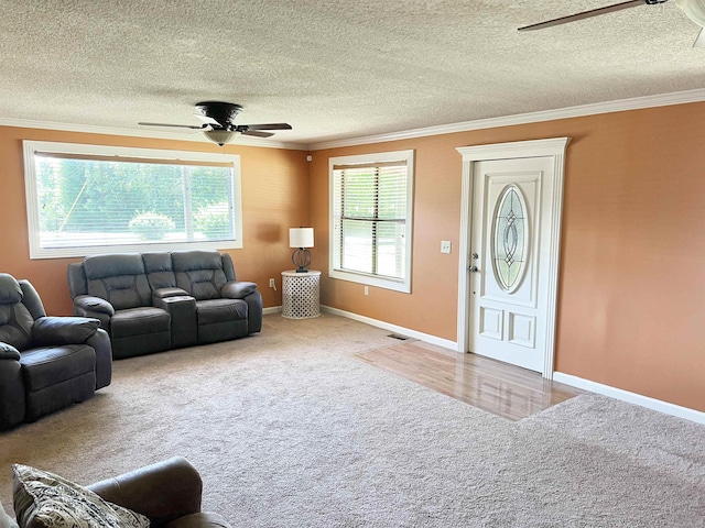 355 Blue Ridge Rd, Campobello, SC 29322 - carpeted living area with ceiling fan, crown molding, and a textured ceiling