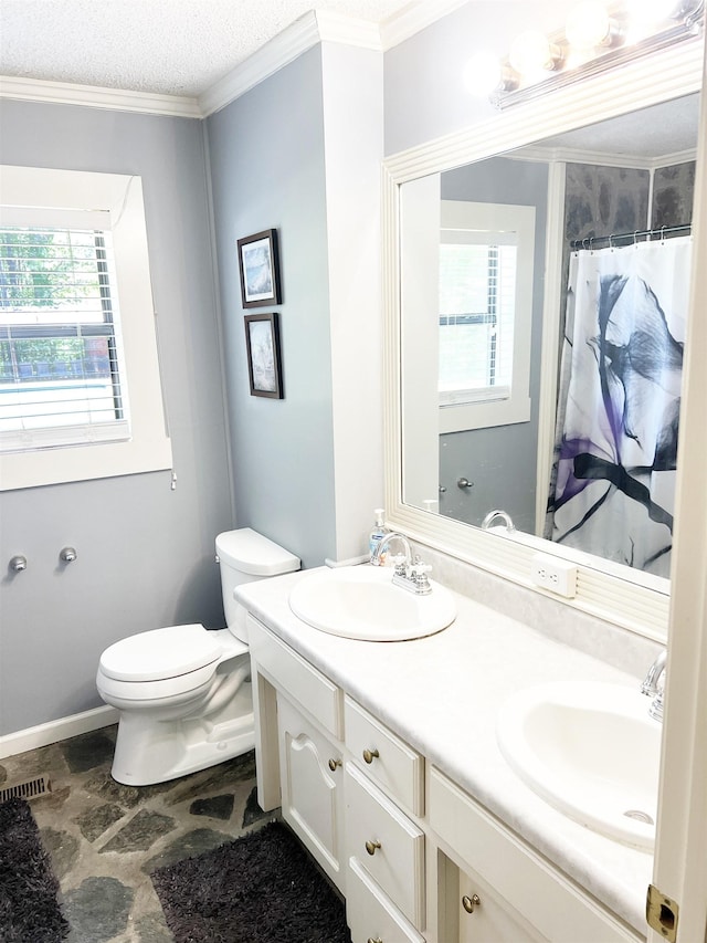 355 Blue Ridge Rd, Campobello, SC 29322 - full bathroom featuring plenty of natural light, double vanity, and ornamental molding
