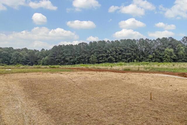 545 Bill Lattimore Rd, Chesnee, SC 29323 - photo 17