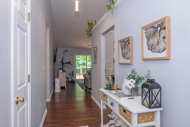 206 Manhassett Ct, Greenville, SC 29607 - photo 4