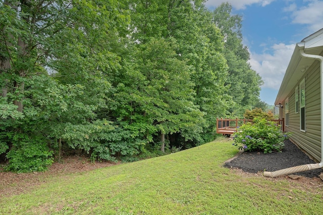 206 Manhassett Ct, Greenville, SC 29607 - photo 34