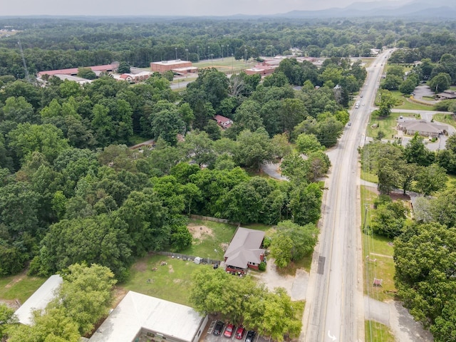 1504 E Rutherford St, Landrum, SC 29356 - photo 46