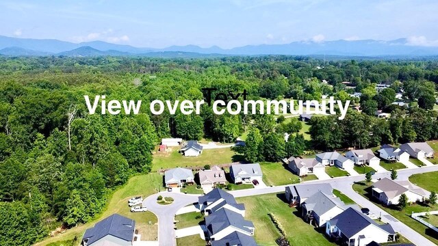 206 Page Creek Blvd, Landrum, SC 29356 - photo 31
