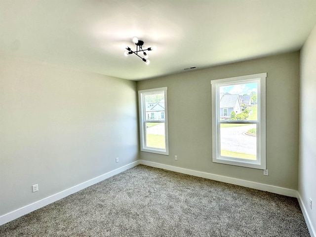 206 Page Creek Blvd, Landrum, SC 29356 - photo 23
