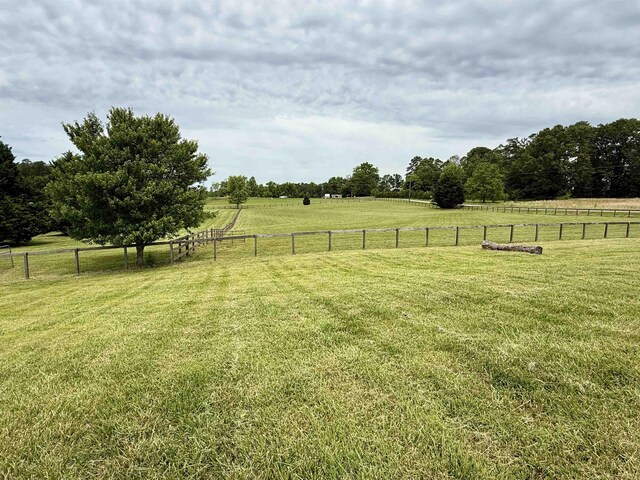 226 John Smith Rd, Columbus, NC 28722 - view of yard with a view of rural / pastoral area