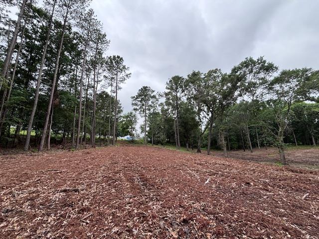0 Peachview Blvd, Gaffney, SC 29341 - photo 6