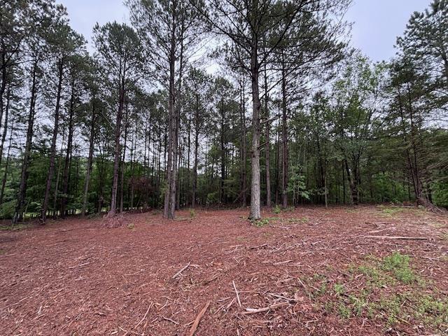 0 Peachview Blvd, Gaffney, SC 29341 - photo 10