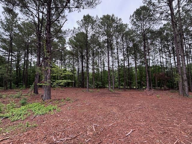 0 Peachview Blvd, Gaffney, SC 29341 - photo 11