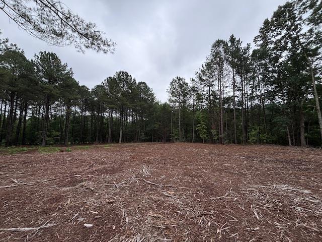 0 Peachview Blvd, Gaffney, SC 29341 - photo 13